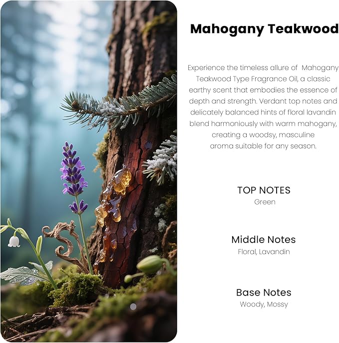 Car Air Freshener Hanging Diffuser – Long-Lasting Essential Oil Scent (Up to 60 Days) – Non-Toxic & Eco-Friendly – 2-Pack Auto Fresheners Made in USA