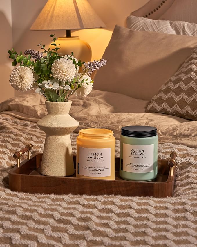 M&SENSE Candles Lemon Vanilla Scented, 19.4oz 110 Hours Long Lasting for Home 2 Wick Natural Soy Wax Non Toxic Candles in Glass Jar, Stress Relief Gifts for Women and Men