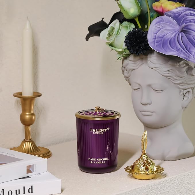 Jar Candles for Home Scented, Aromatherapy Candles Gifts for Women & Men, Natural Soy Candle, 8.4oz Traditional Style, Dark Orchid & Vanilla