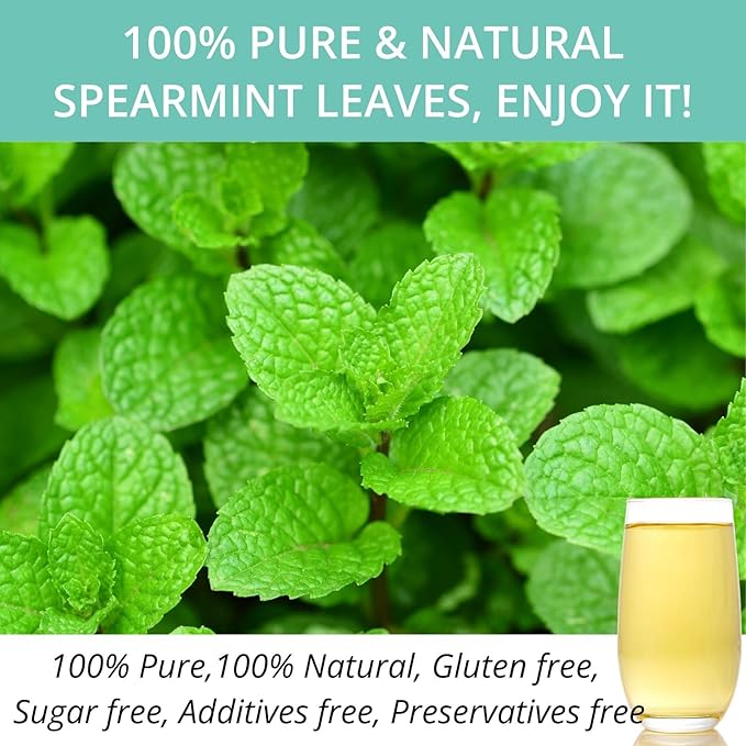 60 Spearmint Tea Bags - VitalForest Premium Dried Spearmint Leaves - Spear Mint Tea - Refreshing & Minty, Caffeine Free, Corn Fiber Tea Bags, Canister Pack for Freshness