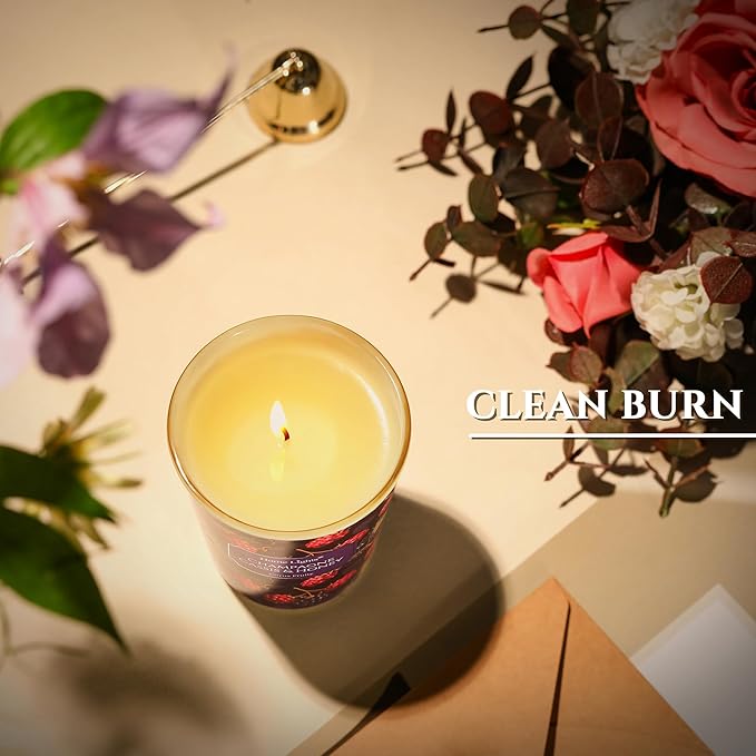 HomeLights Scented Candles for Women & Men, 6.7oz Candle Jars Aromatherapy Single Wick Candle, Ideal for Eclectic Mixed Styles Home Decor and Gifts, Champagne Cassis & Honey