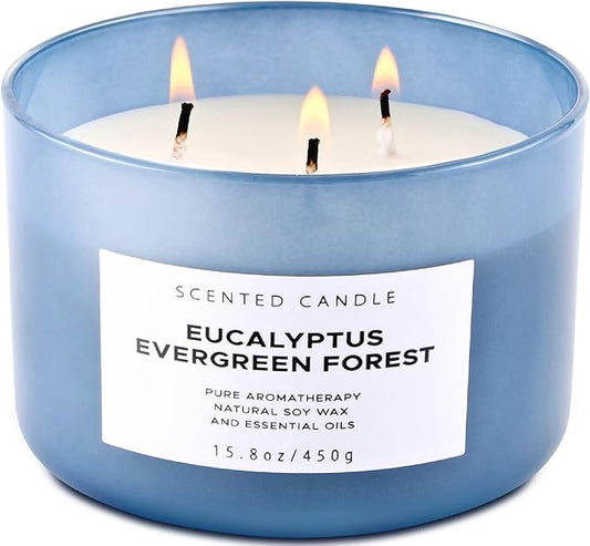 Eucalyptus Evergreen Forest 3-Wick Soy Candle, 15.8 oz | Winter Pine, Balsam Fir & Evergreen Scented Candle | Woodsy Aromatherapy Candle for Home | Clean Burn, Long-Lasting