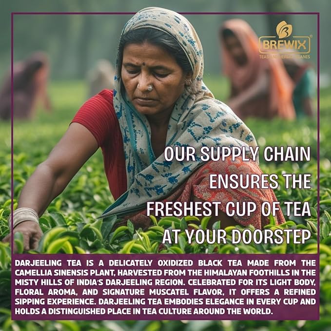 BREWIX, Darjeeling Tea Leaves from Hills of Himalayas (50+ Cups, 3.53oz/100g) | Pure Loose Leaf Darjeeling Black Tea | Long Leaf Grade | Straight From Source In India