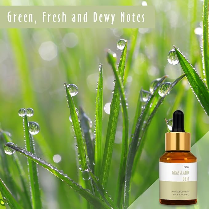 Grassland Dew Fragrance Oil, MitFlor Single Scented Oil, Large Size Hotel Collection Diffuser Oil, Soap & Candle Making Scent, Aromatherapy, Natural & Fresh Scent for Home Fragrance, 30ml