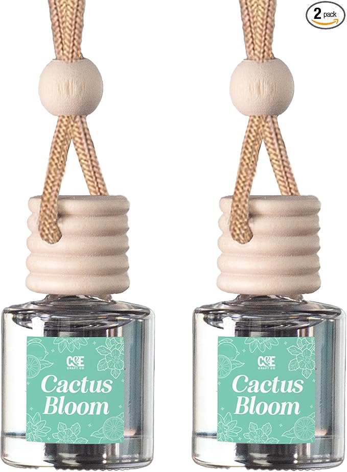 CANDECraftCo Car Air Hanging Fragrance Oil, Car Auto Freshener for Essential Oils, Scents Fragrance Aromatherapy Automobile Diffuser, Long Lasting (Cactus Bloom)