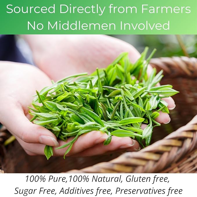 Organic Green Tea Bags| 70 Count VitalForest Unbleached ECO-Conscious Chinese Green Tea Packets| Te Verde Organico Natural Premium Real China Herbal Tea