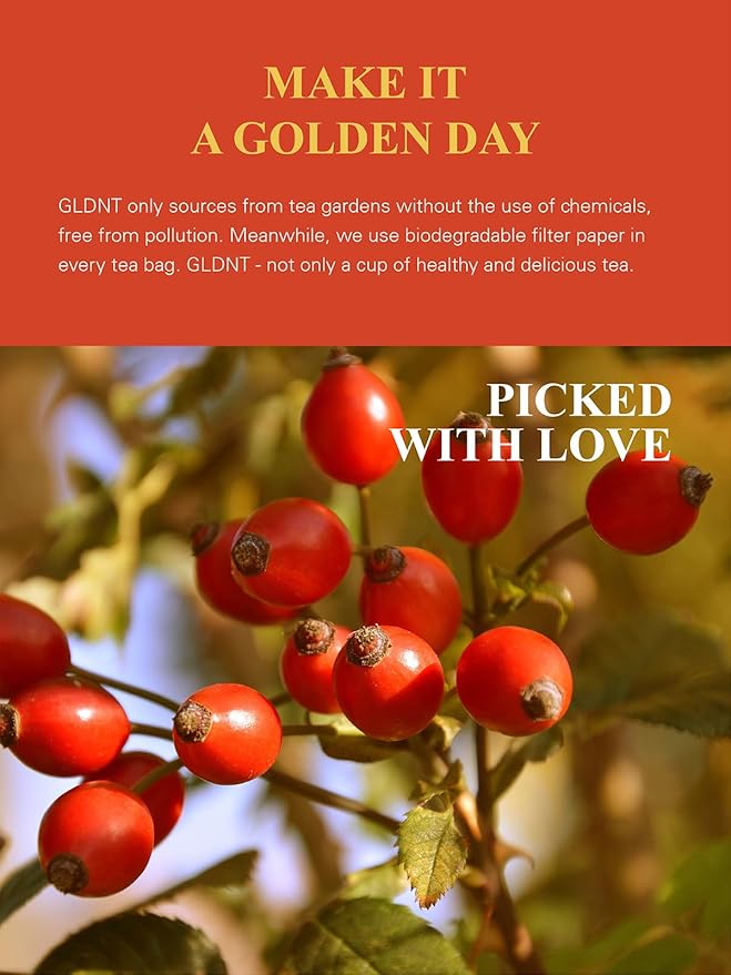 GLDNT Organic Rosehips Tea Bags, Organic Rose Hips, Fruity Flavor and Aroma, Caffeine Free, 100 Count