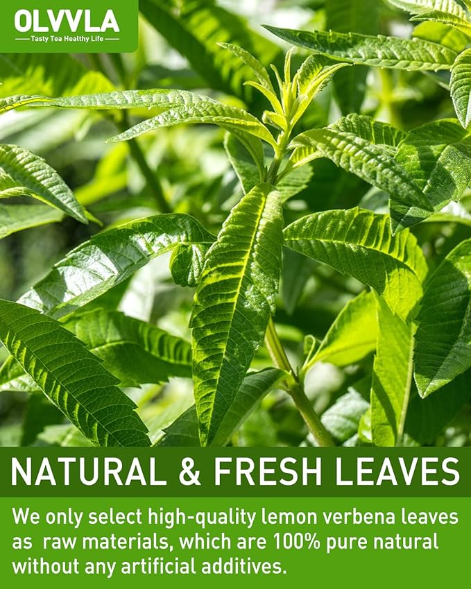 Olvvla - Premium Lemon Verbena Tea Bags - 1.5g X 30 Count - Pure Natural Cedron Herb - Caffeine-free - Non-GMO - Lemon Tea - Verbena Tea - Support Digestion & Promote Relaxation