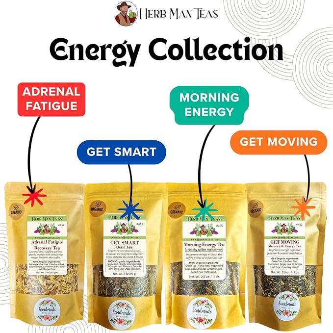 Brain & Memory Tea – With Ginkgo, Gotu Kola & Chaga – Supports focus, memory & clarity – Organic, caffeine-free tea for students, professionals & seniors – Formulated by Khabir Southwick