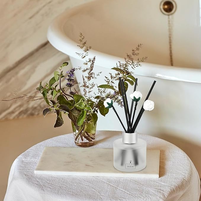 Brakula Reed Diffuser Set, Eucalyptus & Wild Mint Scented， Reed diffusers for Home， Home Fragrance Diffuser with 7 Reed Sticks for Room/Bathroom Decor 3.38 fl oz (Eucalyptus & Wild Mint)