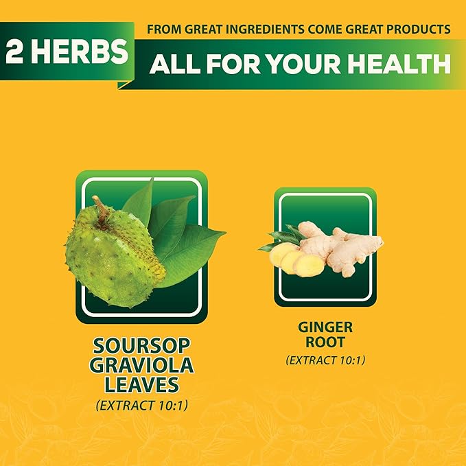 DEDICAD Soursop Leaves Tea Bags with Ginger, 30 Tea bags, 2gr/bag - Non-GMO/Caffeine free - Support Digestion, Well Skin, Immune System