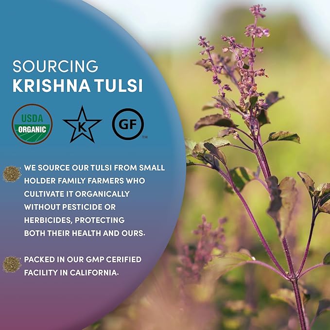 Worldwide Botanicals Organic Holy Basil Tea, 8oz - Tulsi Krishna - Loose Leaf Premium Herbal Tea, 100% Pure Tulsi Holy Basil, Fair Trade, Adaptogenic, Kosher