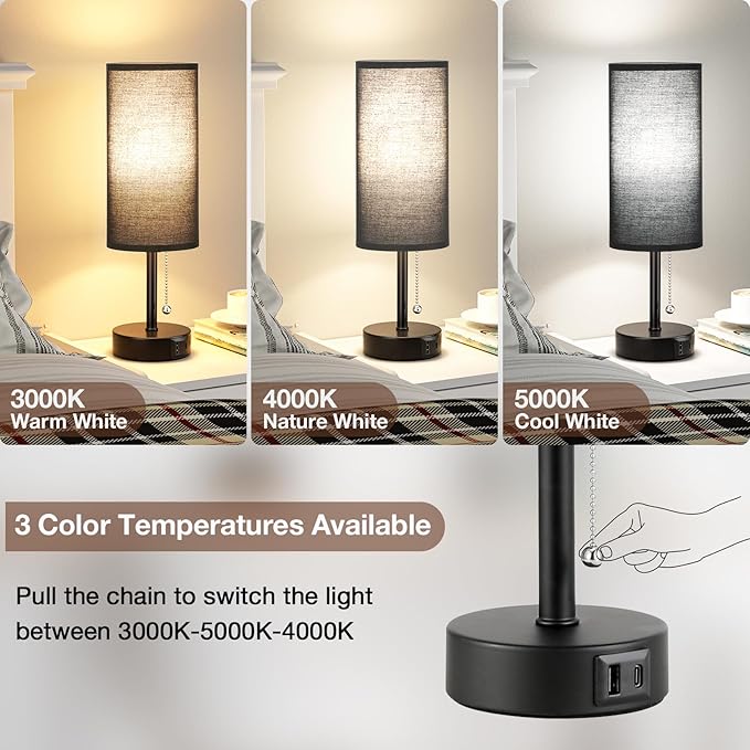 Black Bedside Lamps for Bedroom Set of 2 - Nightstand Table Lamp with USB Charging Port, Pull Chain Night Stand Light, Side Table Desk Reading Lamp for Living Room/Dorm/Bathroom/Kitchen