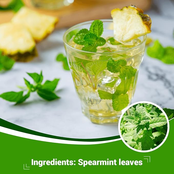 Spearmint Leaf Herbal Tea - Caffeine Free, 40 Tea Bags
