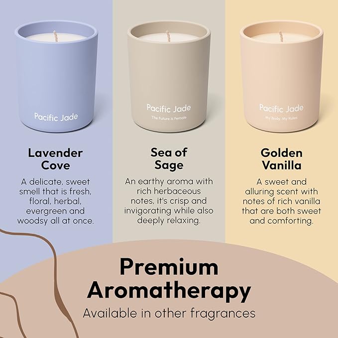 Hand Poured 100% Natural Soy Candle 11oz - Luxury Fragrance in Matte Glass for Home or Gift - Premium Cotton Wick for 60 Hours Burn Time - Woman-Founded Brand (Sunkissed Sandalwood)