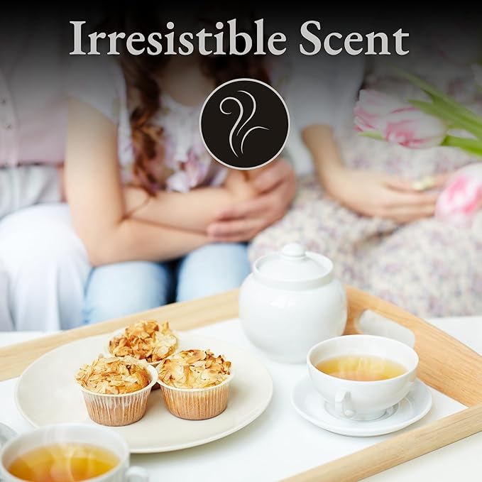 Biogena Tea2O Tea Assortment Gift Box, Flavored Fruit Tea Sampler Gift Set Box- (6x10 Tea Bags Variety Pack)