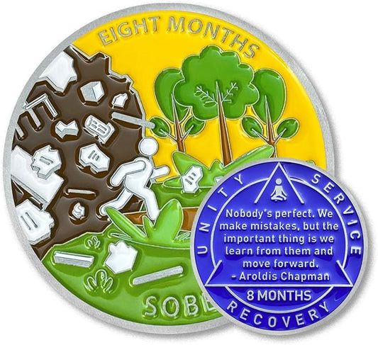 8 Month Sobriety Coin Sobriety Chips AA Chip AA Coins Sober Token Recovery Medallion NA Chips NA Coins from 1 to 12 Months Plastic case Included-Baking Paint Process