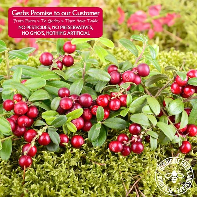 Gerbs Dried Cranberries 4 lbs. | Unsulfured, No Additives, Resealable Bag | Naturally Tart & Juicy | Top 14 Allergen-Free