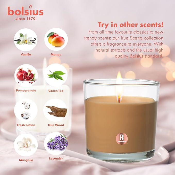 Bolsius Apple Cinnamon Scented Candle - Premium Long-Lasting Jar, 43+ Hours Burn Time - Natural Plant-Based Wax, Smokeless, Clean-Burning Aromatherapy - Large 8oz Glass Jar