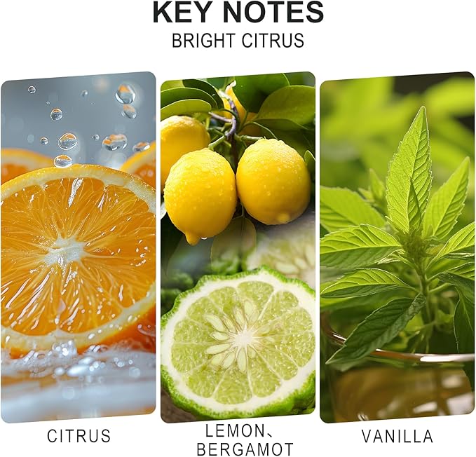 L'odeur Vill Reed Diffuser Set, 6.7 oz(200ml) Bright Citrus Scented Diffuser with 6 Oil Diffuser Sticks, Home Fragrance Essential Oil Reed Diffuser for Home Large Rooms Bathroom Shelf Decor