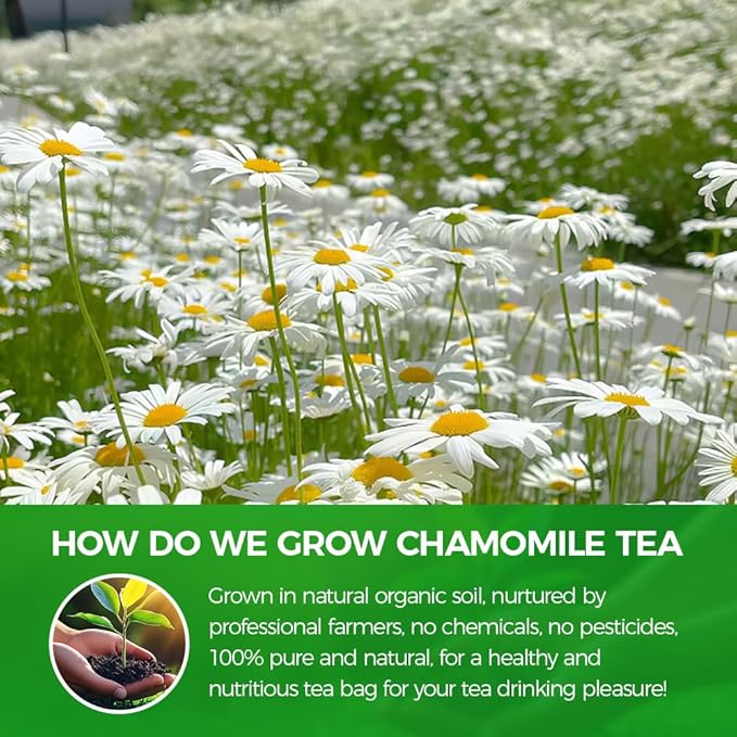 WOTIHA-Natural Chamomile tea 99.75g. 100% Natural Chamomile Herbal Tea.Non-GMO • Additive-Free • Caffeine-Free • Sugar-Free • Vegan