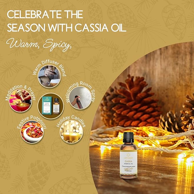 Cassia Cinnamon Bark Essential Oil for Room Spray, Diffuser, DIY Home Crafts - 1 Oz