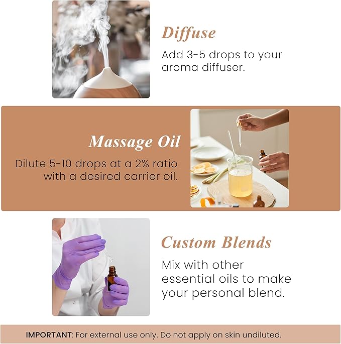 Handcraft Blends Clove Essential Oil – 1 Fl Oz – 100% Pure and Natural – Premium Grade Essential Oil for Diffuser and Aromatherapy, Skin, Massage, Candle and Soap Making Fragrance