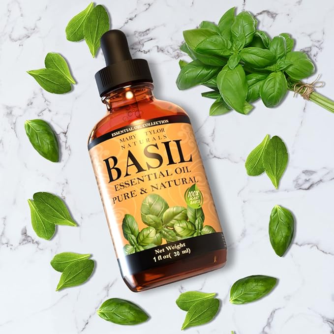 Basil Essential Oil (1 oz), Premium Therapeutic Grade, 100% Pure and Natural, Perfect for Aromatherapy, DIY Projects and Much More by Mary Tylor Naturals