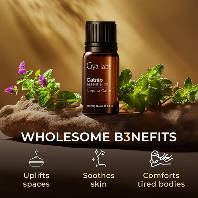 Gya Labs Catnip Essential Oil - 0.34 Fl Oz - for Hair, Skin, Diffuser, Aromatherapy & DIY Candle Making Scent