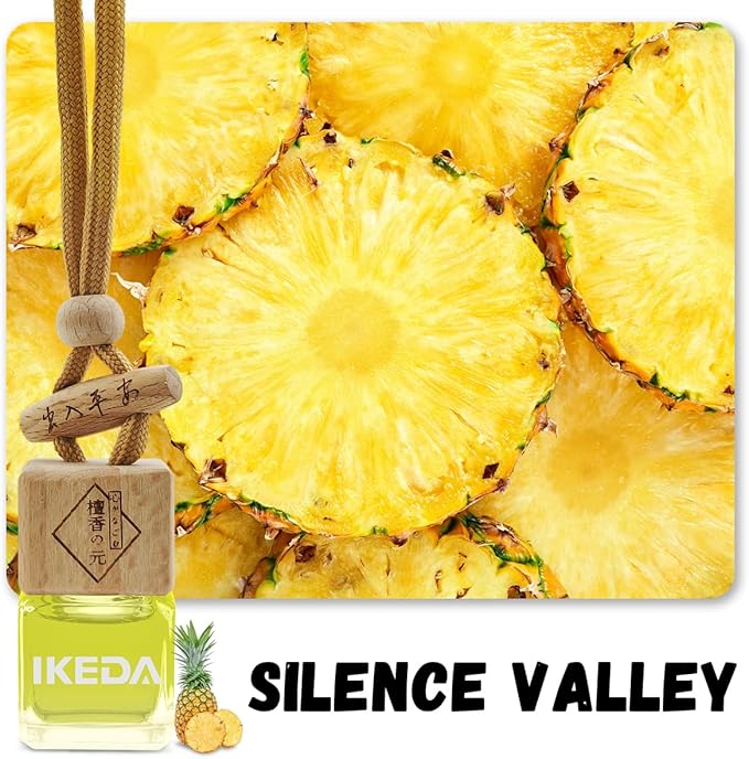 Car Air Freshener | Square Hanging Car Scent with Vent Clip Bottle | Long Lasting Fragrance | Essential Oil Diffuser | Odor Eliminator Deodorizer (Square-Silence Valley)