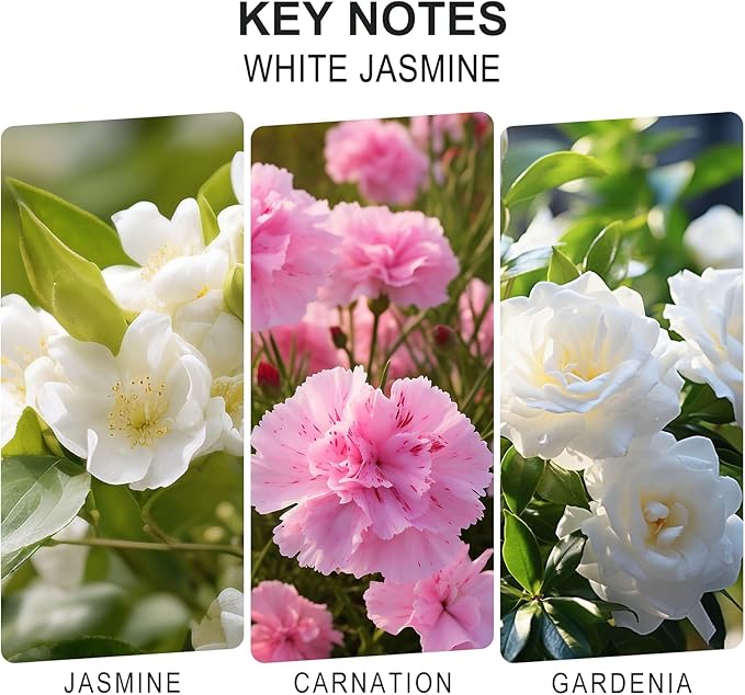 L'odeur Vill Reed Diffuser Set, 6.7 oz(200ml) White Jasmine Scented Diffuser with 6 Oil Diffuser Sticks, Home Fragrance Essential Oil Reed Diffuser for Home Large Rooms Bathroom Shelf Decor