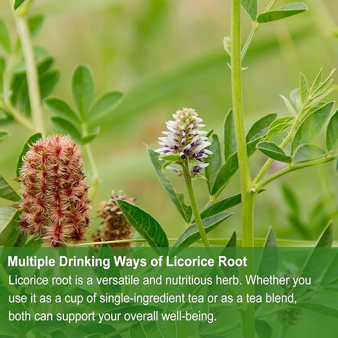 Jarteela - Licorice Tea Bag, 2g x 40 Count - Natural Pure Licorice Root Tea Bags - Non-GMO - Caffeine-free Tea -Support Digestion & Healthy Skin