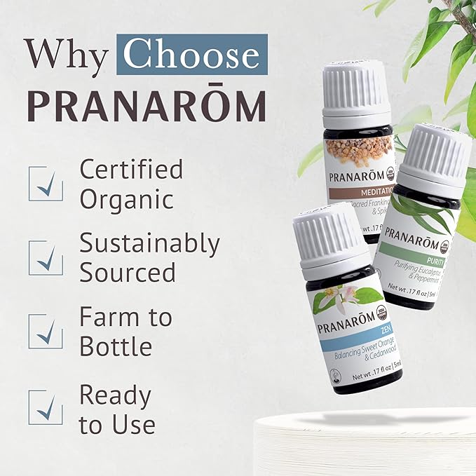 Pranarom - Meditation Diffusion Essential Oil Kit (3-Pack of 5ml) - Meditation, Zen, and Purity Essential Oils - 100% Pure Essential Oil | USDA and ECOCERT Certified Organic