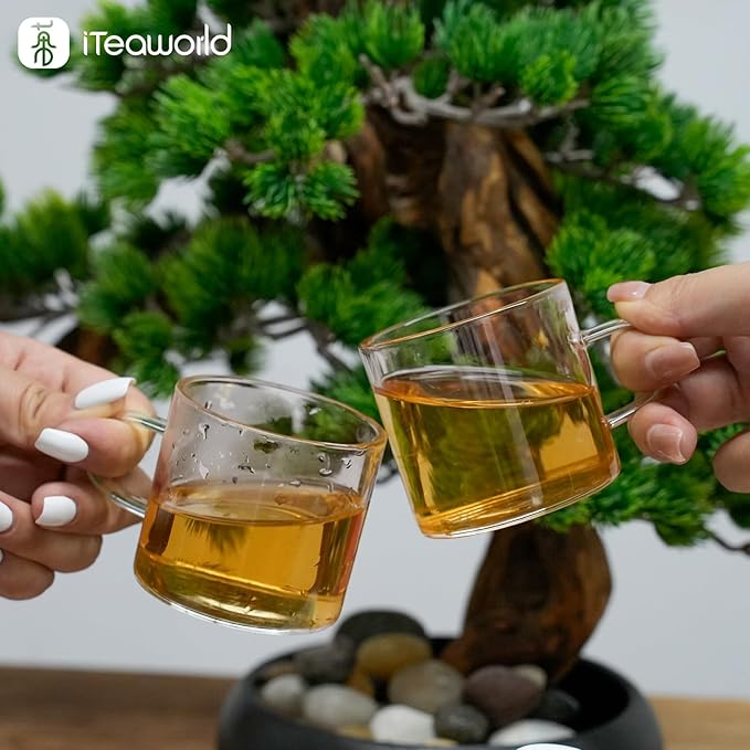 iTeaworld Ya Shi Xiang Dan Cong -Oolong Tea Loose Leaf, Premium Chinese Loose Leaf Tea with Rich Floral Aroma, for Hot and Iced Tea, 2025 Spring Harvest from Chaozhou, Guangdong- Whole Leaf Phoenix Dan Cong Oolong, 3.52oz