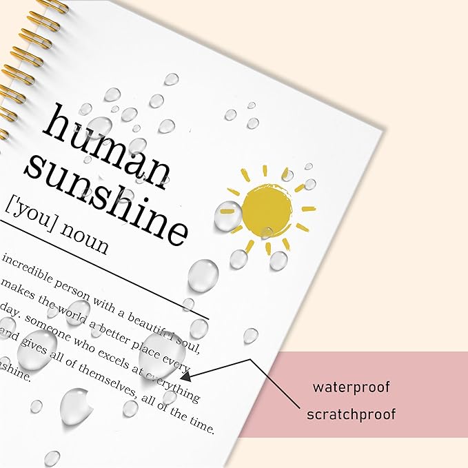 Human Sunshine Notebook Journal, Motivational Office Notebooks for Work, Human Sunshine Gifts for Women, Inspirational Gifts for Coworker, Hardcover Spiral Notebook 5.5x8.3