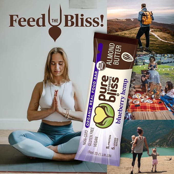 Organic Real Food Bar (Blueberry Hemp) Non-GMO, Gluten Free, Vegan, Nutrition Bars, Energy Bars, Super Food Simple Ingredients, Best Tasting, Healthy Snack, Breakfast Bars, Dairy Free, Soy Free, Pure Bliss Organics (1.7 oz bar, 12-Pack Case)