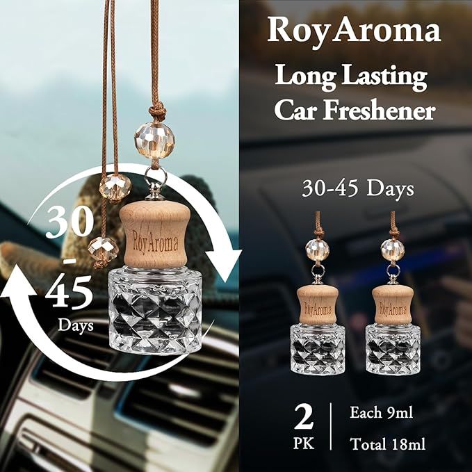 Hanging Car Air Fresheners, 2 Pack Long Lasting Automotive air fresheners up to 30-45 Days, Non Toxic Natural Fragrance Car Diffuser Freshener for Cars, Home,Office- Cool Ice