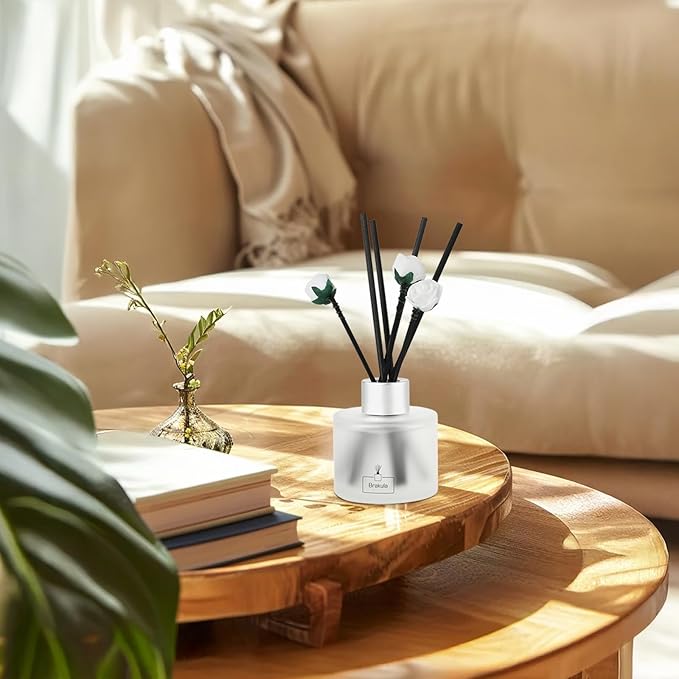Brakula Reed Diffuser Set,White Jasmine Scented， Reed diffusers for Home， Home Fragrance Diffuser with 7 Reed Sticks for Room/Bathroom Decor 3.38 fl oz (100 ml) (White Jasmine)