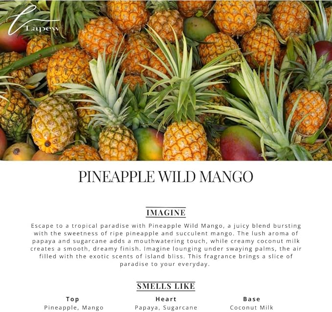 Car Air Freshener Diffuser – 2 Pack Hanging Air Freshener Diffuser (.34 Oz, Pineapple Wild Mango)