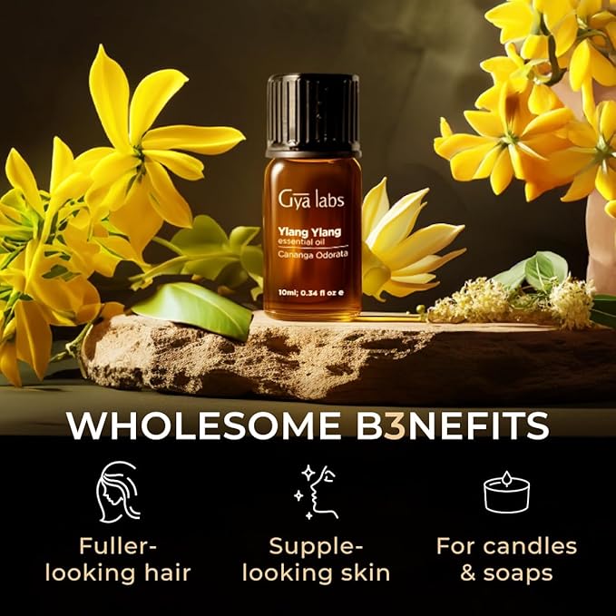 Gya Labs Ylang-Ylang Essential Oil - 0.34 Fl Oz - for Hair, Skin, Diffuser, Aromatherapy & DIY Candle Making Scent