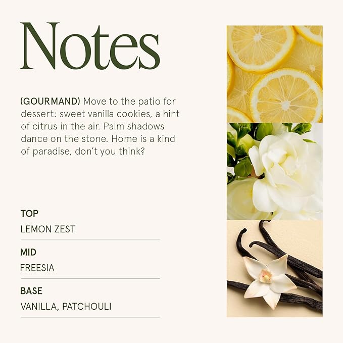 LA JOLIE MUSE Vanilla Bomb Candle – Lemon Zest, Fressia & Patchouli | 12 oz Large 2-Wick Soy Wax Candle | 60 Hours Clean Burn | Gift-Ready for Hosts | Elegant Home Décor