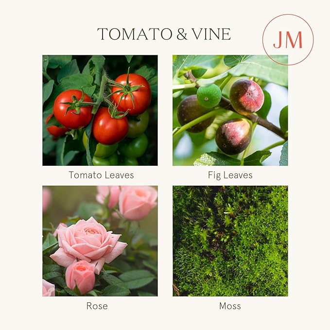 LA JOLIE MUSE Tomato & Vine Candle, Scented Candle Gifts for Women&Men, Natural Soy Candles for Home Scented, Long Burning Luxury Jar Candle, 11oz