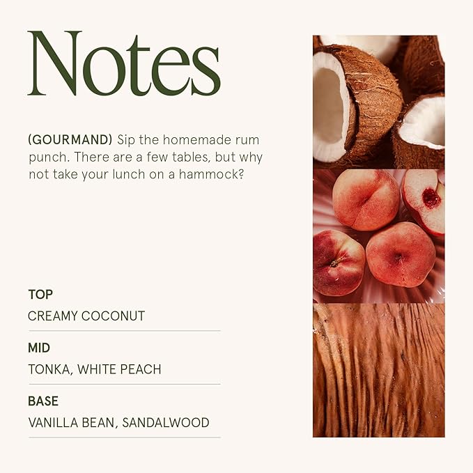 LA JOLIE MUSE Island Coconut Scented Candle – Coconut, Peach & Vanilla | 6oz Luxury Soy Candle | 40 Hours Clean Burn| Gift-Ready for Hosts & Gatherings | Elegant Home Décor