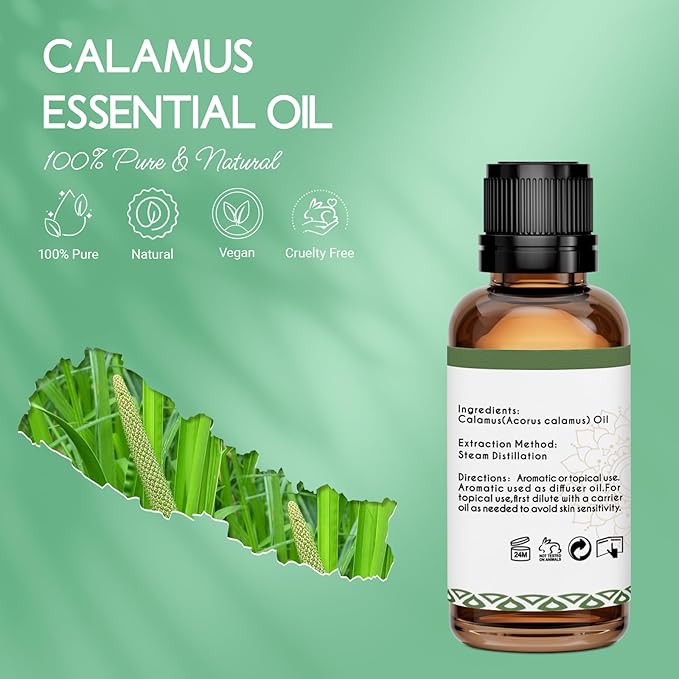 Calamus Essential Oil for Skin Hair Diffuser DIY Anointing Oil- 1 Oz