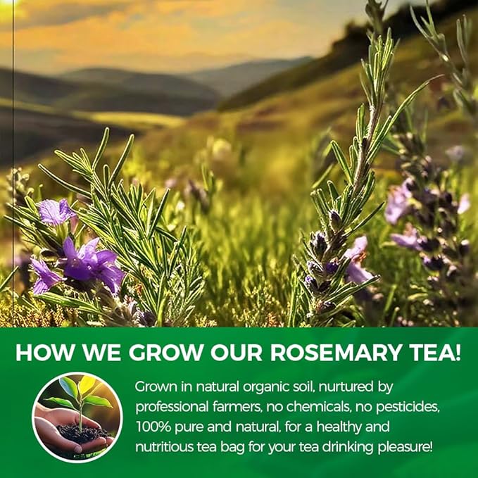 WOTIHA Natural Rosemary Leaf Tea 90g.60 Teabags.100% Pure Natural Rosemary Leaves,No Additives & Caffeine Free. Pure Herbal Tea