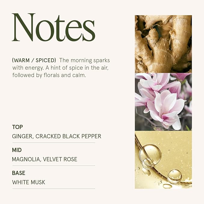 LA JOLIE MUSE Fall Candle | Ginger & White Musk Candles – Ginger, Lemongrass & Musk | 6 oz Soy Candle | Natural Soy Wax | 40 Hours Clean Burn | Gift-Ready for Fall Transitions| Seasonal Home Décor