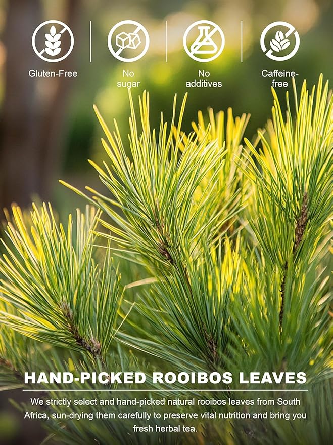 TeeLux Rooibos Tea Bags, Premium Natural Rooibos Herbal Tea, Fruity Sweet Flavor, Caffeine-free, 100 Count