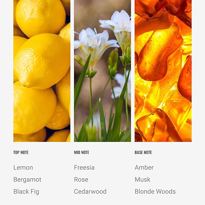 Hotel Collection - Black Velvet Single Wick Classic Candle - Hotel Inpsired Luxury Candle - 90 - Hours Burn Time - Hints of Blonde Woods, Rose, and Black Fig - 14 oz - Black