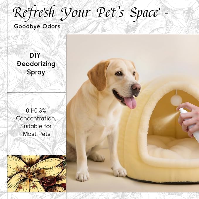 HIQILI Vanilla Fragrance Oil for Body Spray, Diffuser Use, Essential Oil for Candle, Soap, and Women Perfume Making - 5.07 Fl Oz