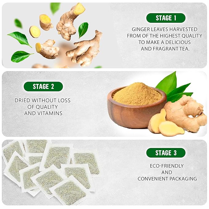 TeaDreamTea Ginger Tea Bags - 100 Bleach-Free Tea Bags | Caffeine Free, Antioxidant, Calms Upset Stomach - Strengthen Immune System - Herbal Ginger Tea